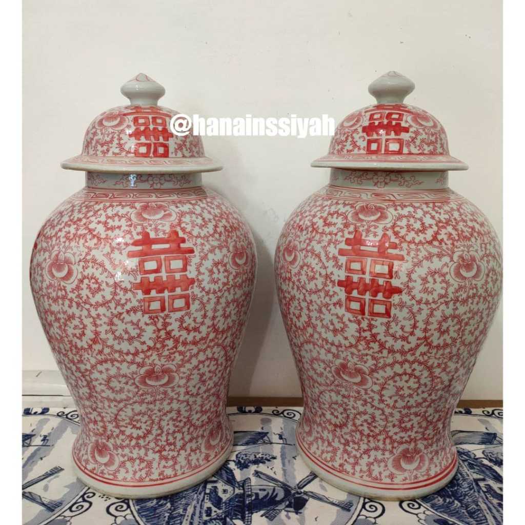 Tochin Patiman Merah Langka Tinggi : 50 cm