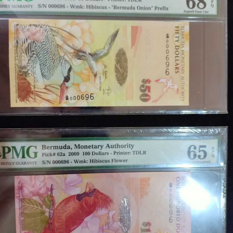 Same Serial Pmg High Score Bermuda set