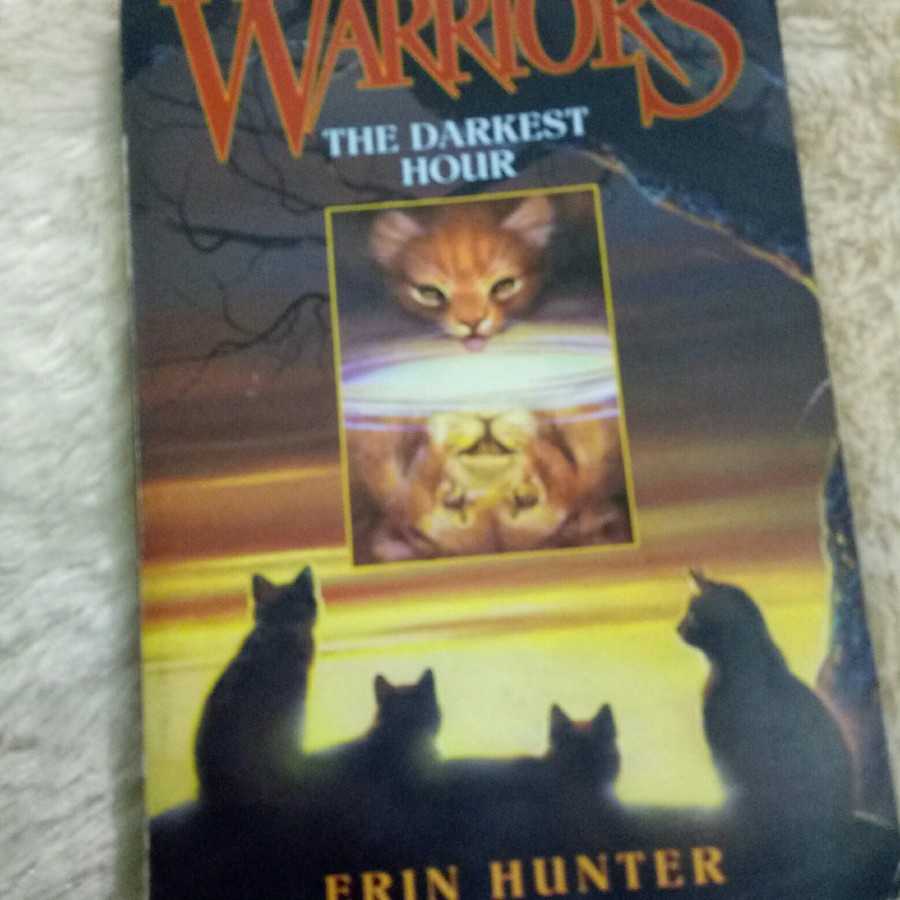 Novel Warriors the darkest hour