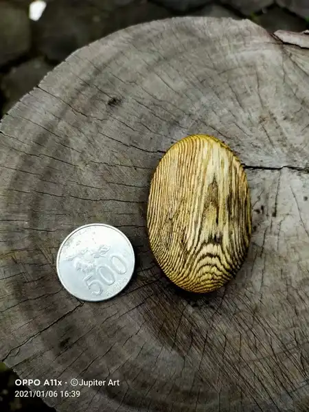 Liontin galih Ringin Sepuh mataram Sunan Kalijaga