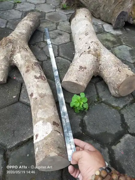 Bahan Kayu Jin origin gunung merapi bentuk unik