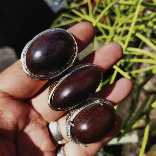 Sokotemanten galih gandul Mata cincin jumbo babon