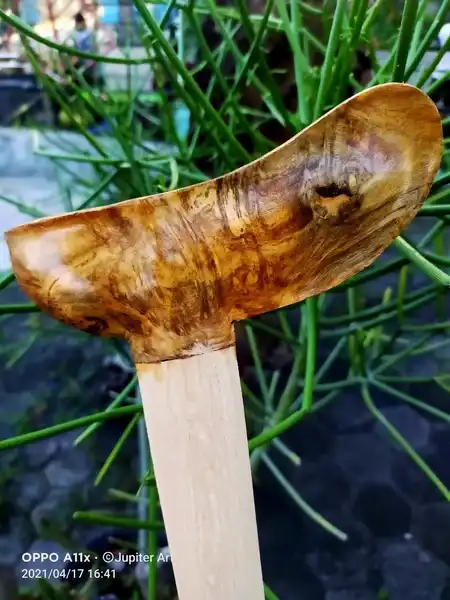 Sekar Jagad Origin Gunung merapi bagian bonggol mati ngurak bentuk gayaman