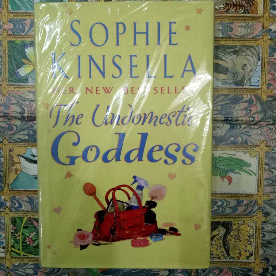 Novel Sophie kinsella her new best seller the undomestic goddess