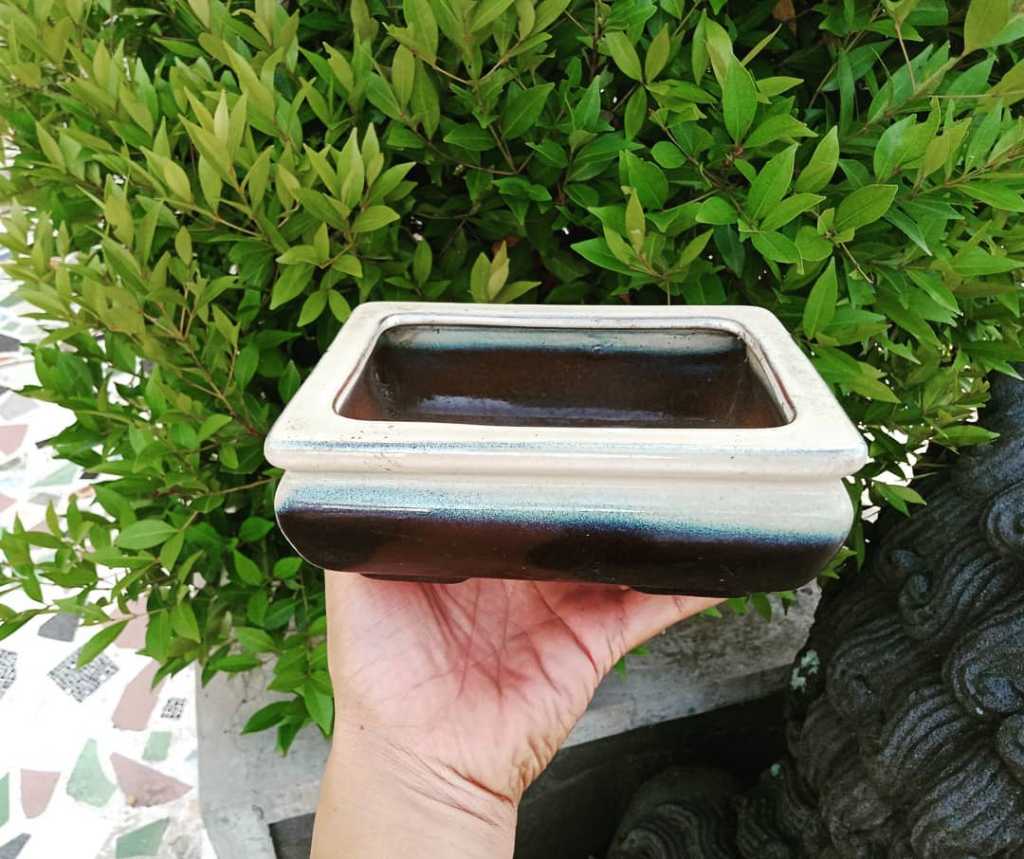 Pot kramik bonsai kondisi utuh mulus.P.16.5cm x L.13cm