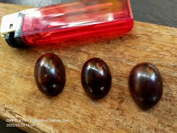 Galih gandul asem Inti Syech Jangkung