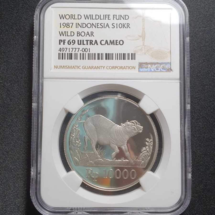 koin Babirusa Ngc 69