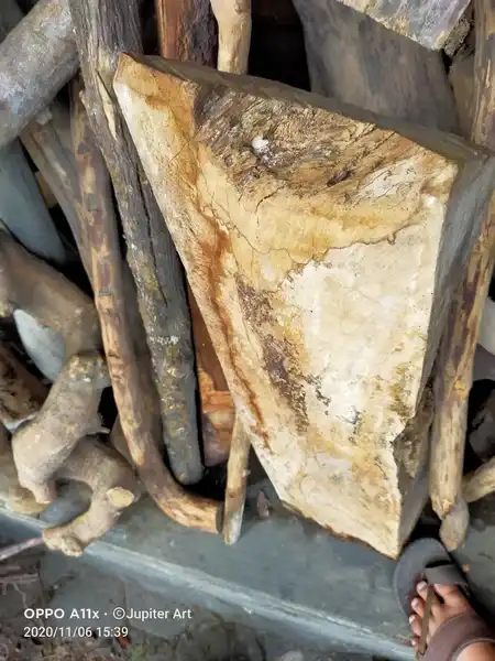 Ringin Sepuh Mataram Sunan Kalijaga