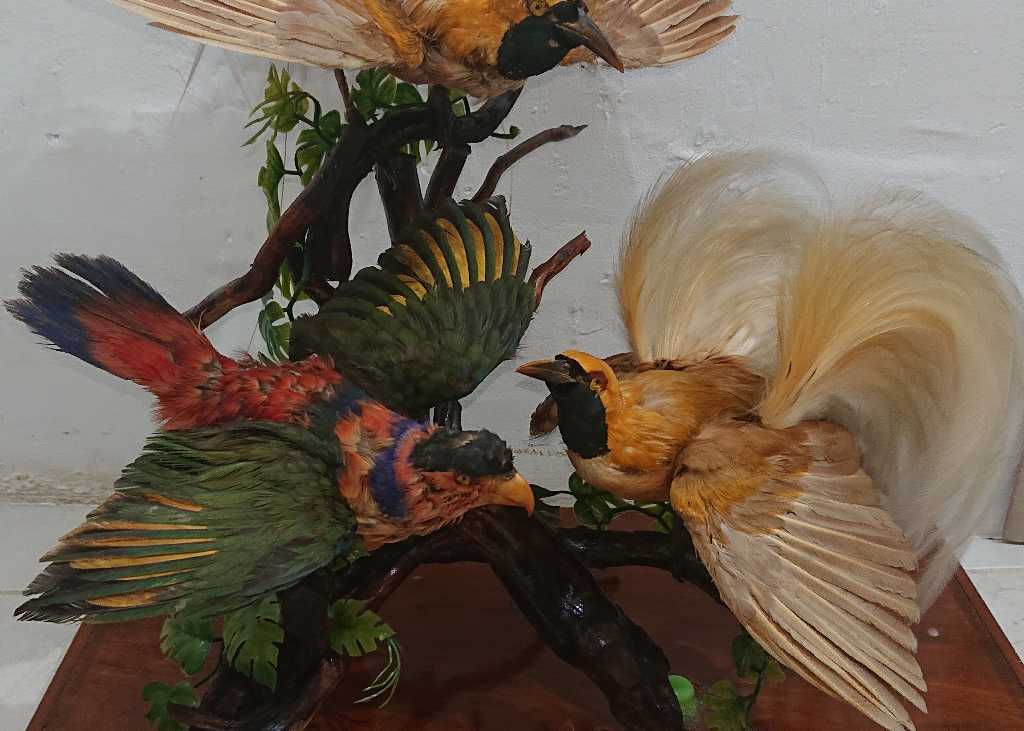 Pajangan Cenderawasih