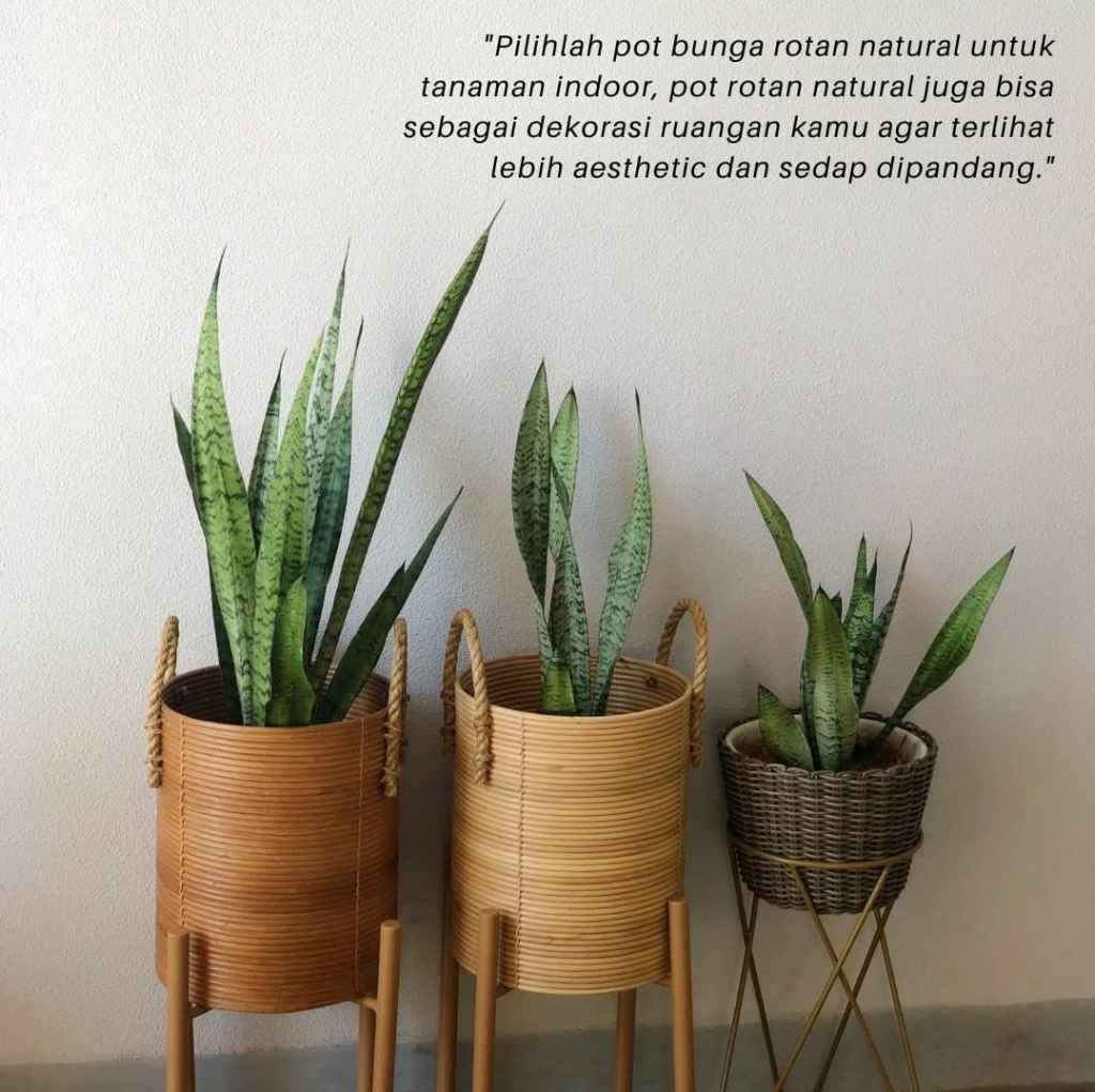 Pot Rotan Eksotis Mantera Rattan [ A001 ] by Mantera