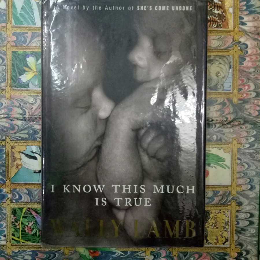 Novel I know this much is true