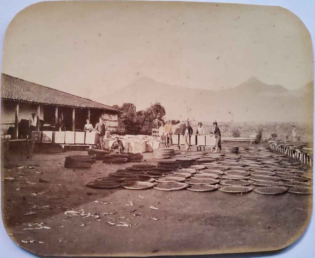 Foto Antik / Foto Kuno; estimasi tahun 1870-an; ukuran 24,5cm x 19cm