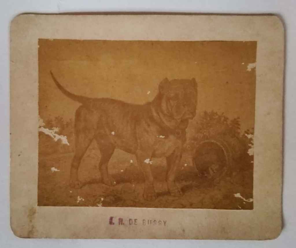 koleksi foto Antik/Kuno estimasi tahun 1870-an (A 0022)