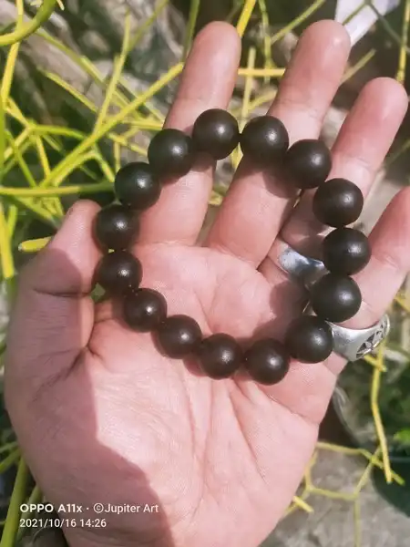 Sokotemanten gelang besar