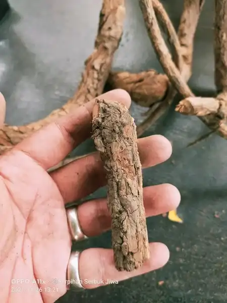 Kayu Kolor Anoman Gunung Merapi Per 5cm