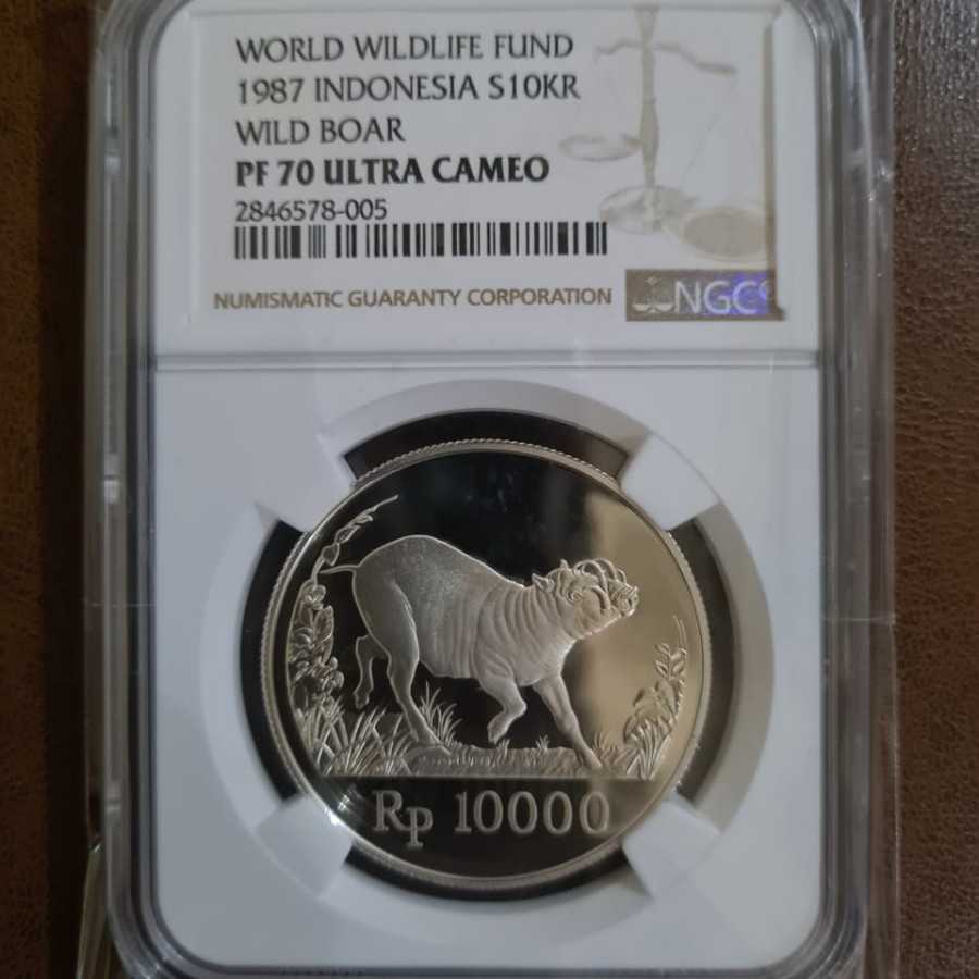 koin Babirusa Ngc PF 70