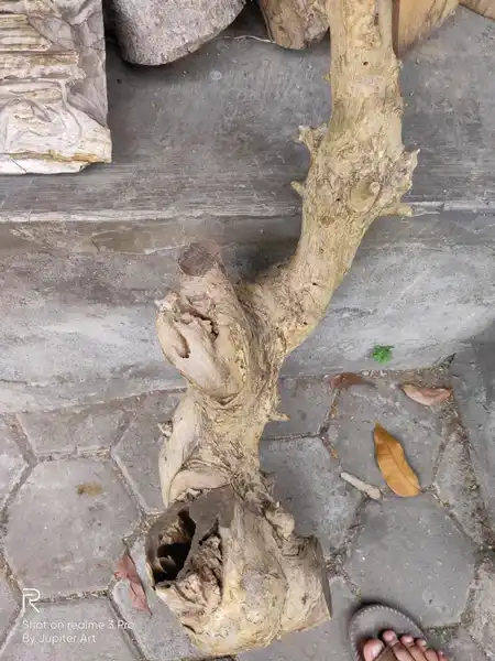 Walik Angin pantai selatan