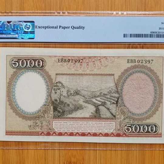 pekerja coklat Pmg 65 epq