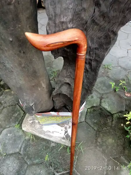 Bidara Madinnah origin Pantai Selatan