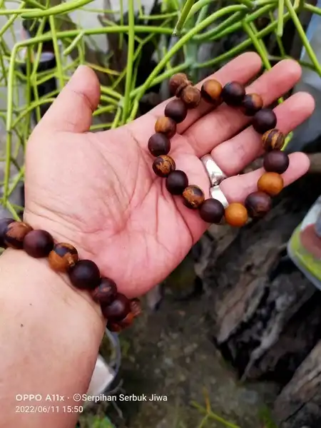 Gelang SUKMO SEJATI spesial edition