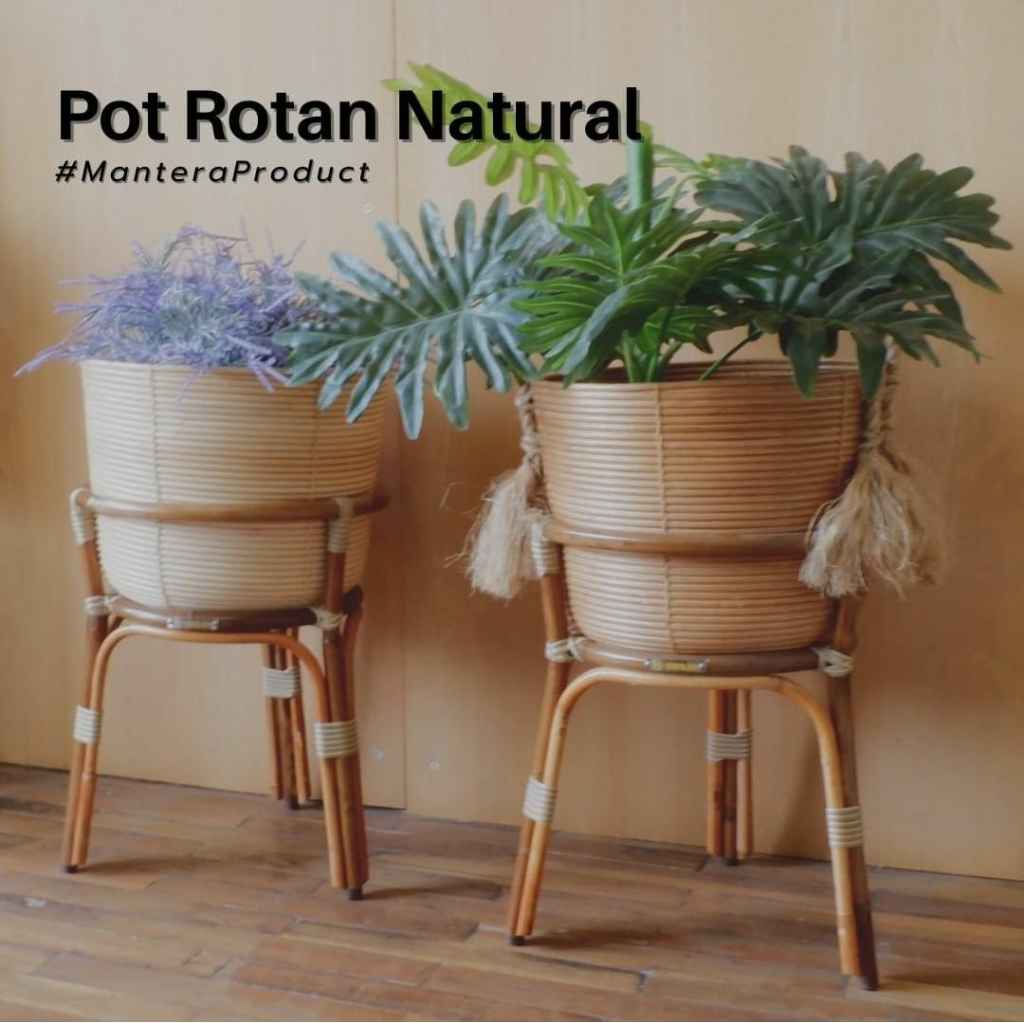 Pot Rotan Eksotis Mantera Rotan [ A005 ] By Mantera