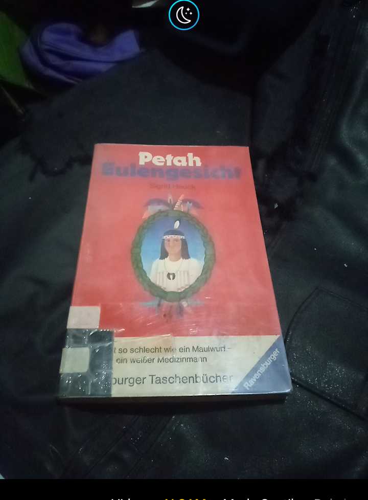 Buku Cerita Jerman 1989 - PETAH EULENGESICHT - By Sigriddd Heuckkk - Printed in Germany