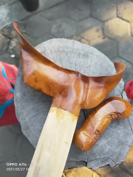 Ladrang Jogja set deder Telasih Gembol Alas Purwo