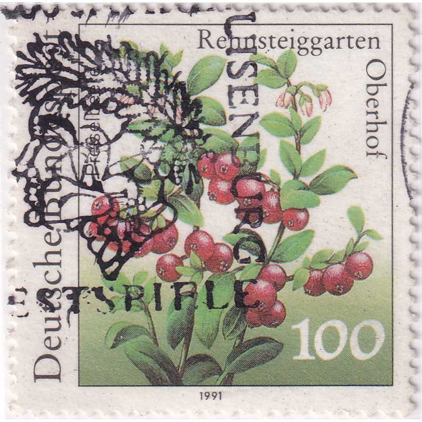 Prangko Germany 1991 - Plants 100Pfg Used