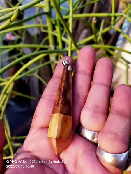 Liontin BROJOMUSTI LIMITED