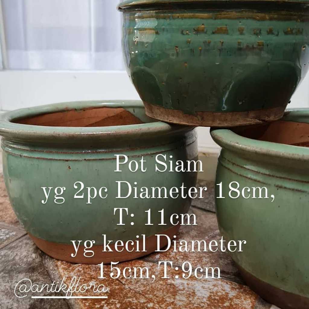 Pot Siam Terakota