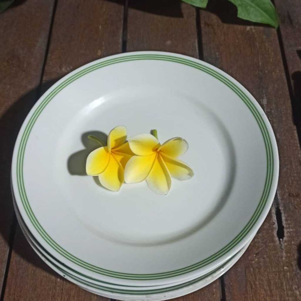 Piring Keramik Vintage