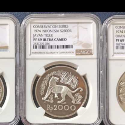 set wwf Ngc pf 69