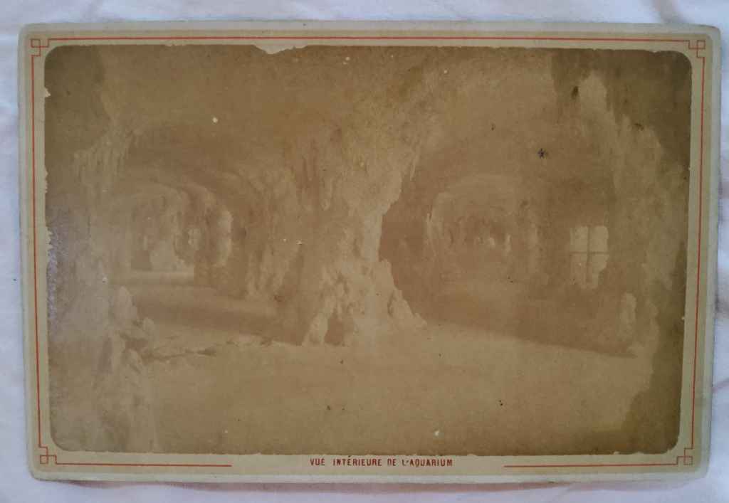 koleksi foto Antik/Kuno estimasi tahun 1870-an , ukuran panjang: 10,5cm lebar: 16cm