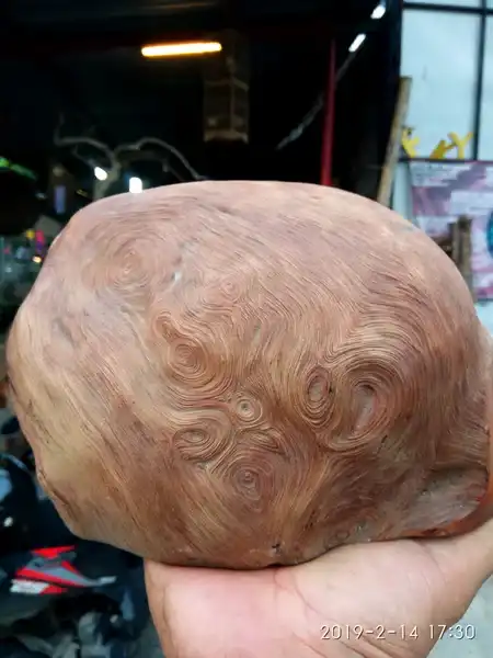 Gono Nogosari brawijaya 2