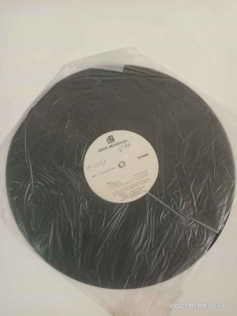 Piringan Hitam Dina Mariana