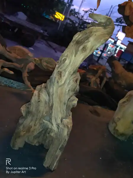 Tayuman origin perkerisan imogiri mati ngurak bentuk unik