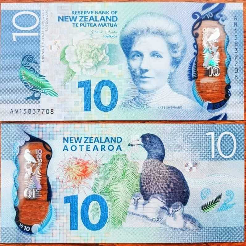 New Zealand Baru Polymer pecahan 10