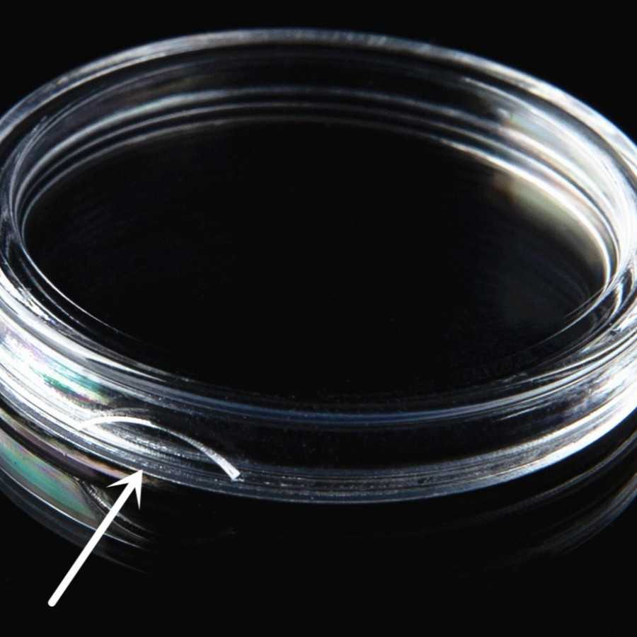 Pelindung koin Kapsul coin bening bulat 40 mm transparan bijian eceran