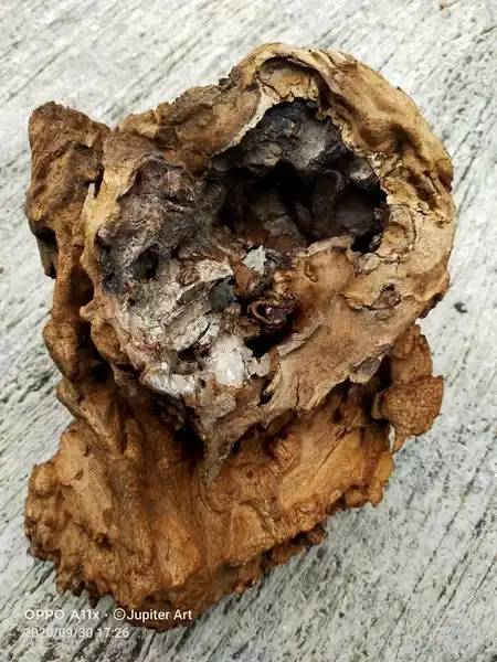 Galih gandul ringin Sepuh Mataram Sunan Kalijaga jilid 2