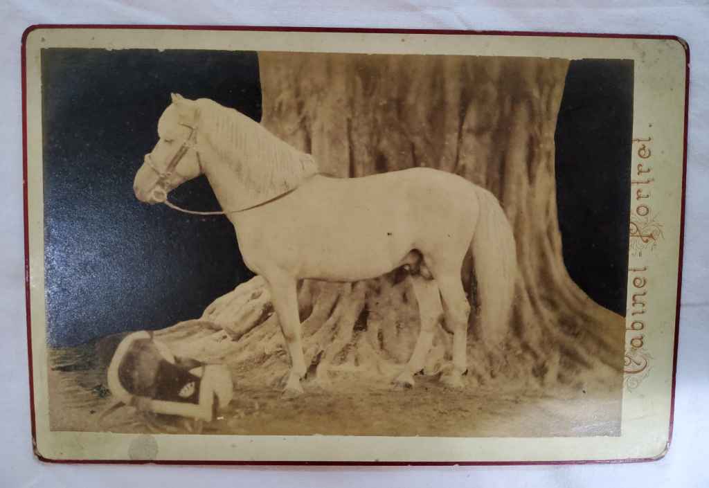 koleksi foto Antik/Kuno estimasi tahun 1870-an , ukuran panjang: 10,5cm lebar: 16,5cm