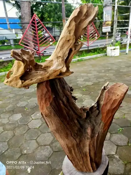 Sang Ayam Pematok Rezki