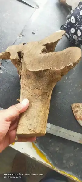 Kayu Arjuna Bahan Bonggol Origin Gunung Sumbing