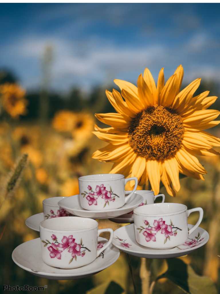 Cangkir Porcelain Antik