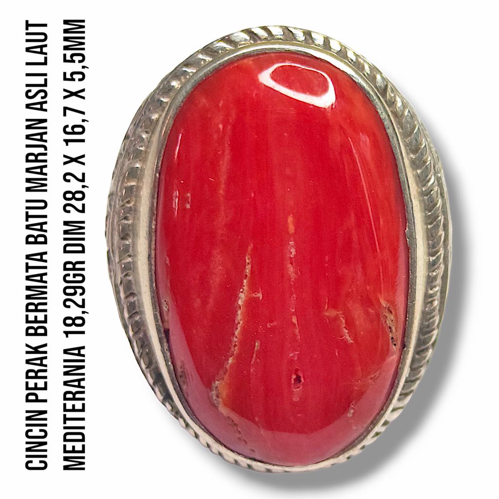 Cincin Perak Bermata Batu Marjan Corallium Rubrum Asli Laut Mediterania 18,29 Gram