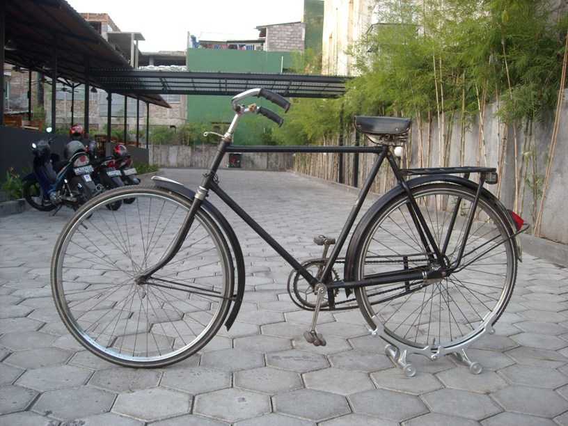 GRUNO HEREN Thn .1955 - 60 Cm