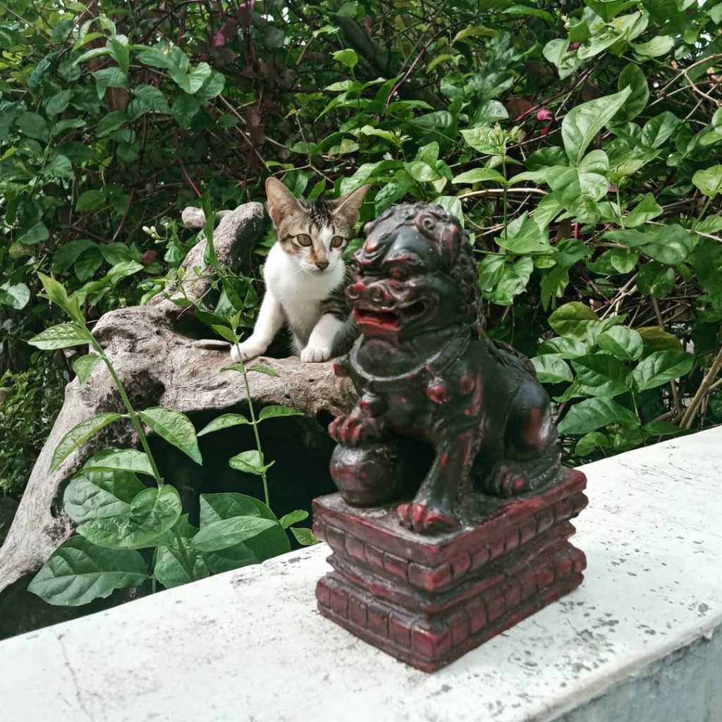 Kilin motif china.T.15cm