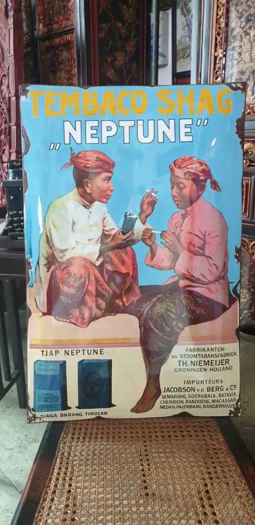 Tembaco Shag "Neptune"