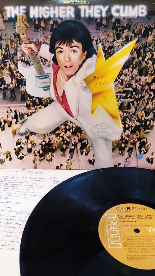 Piringan Hitam The Higher They Climb, The Harder They Fall - David Cassidy