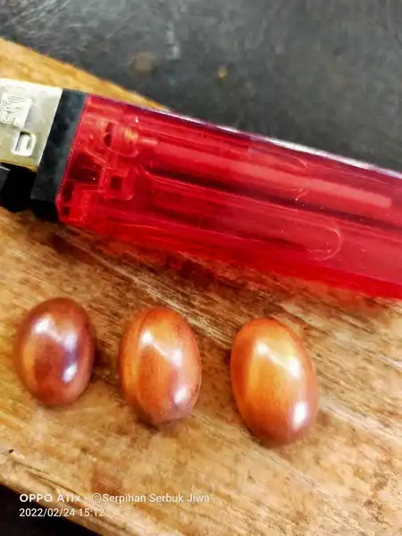 Galih gandul Walik Angin gunung merapi