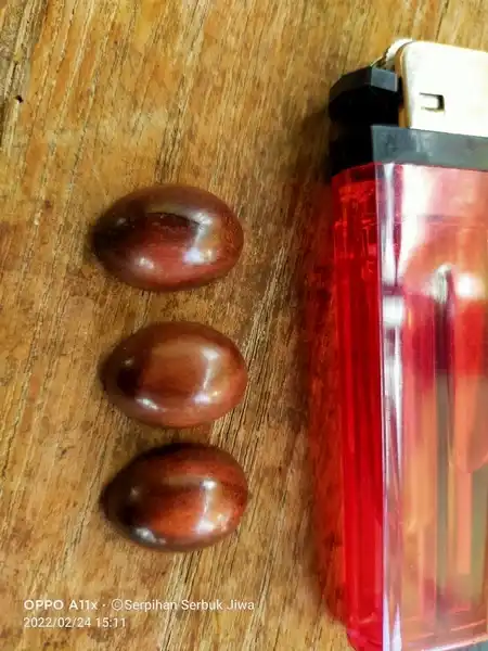 Galih gandul dadap srep Sultan Agung